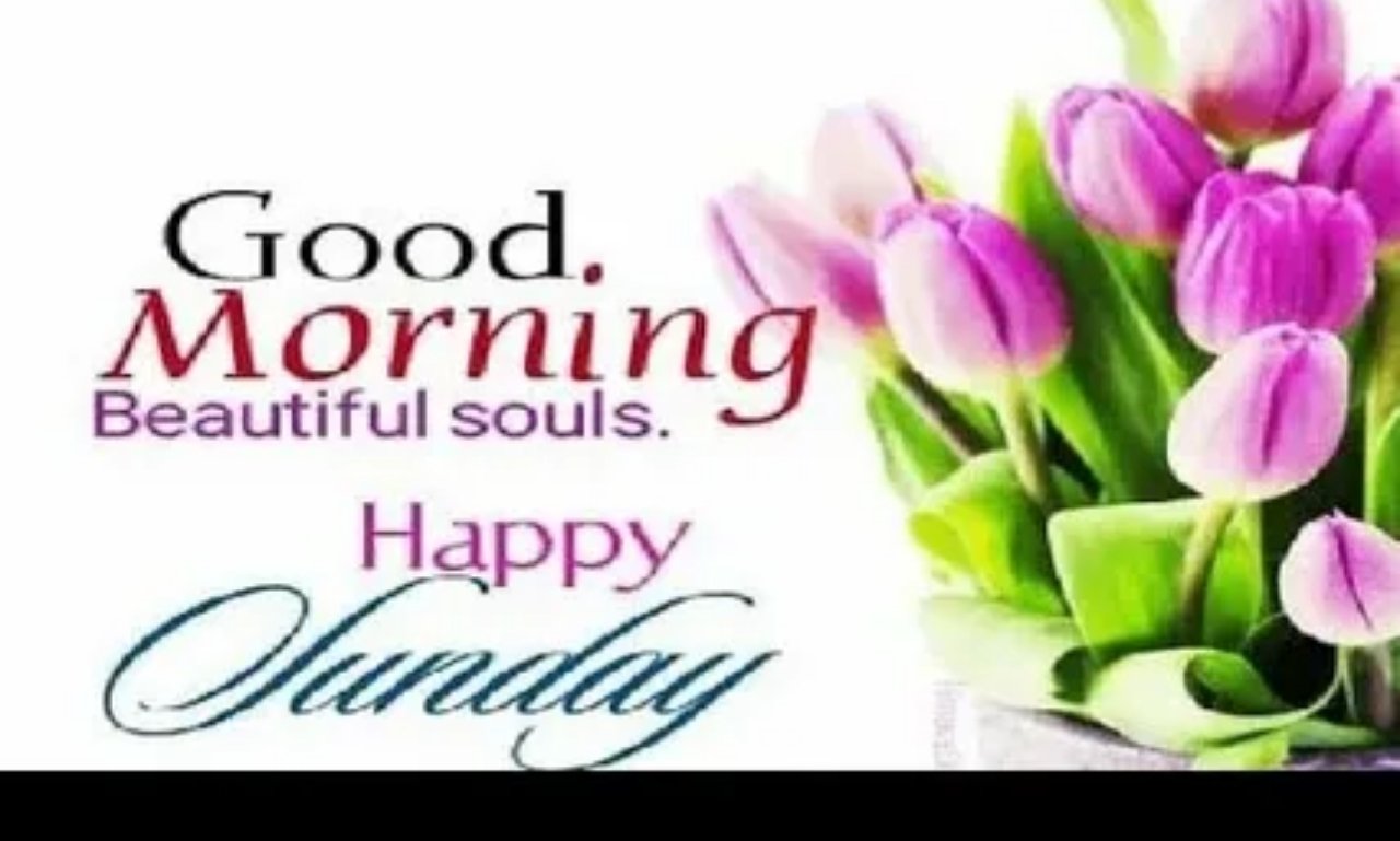 Peaceful sunrise with inspirational Good Morning Happy Sunday Message to Brighten Your Day theme of hope, faith, and renewal