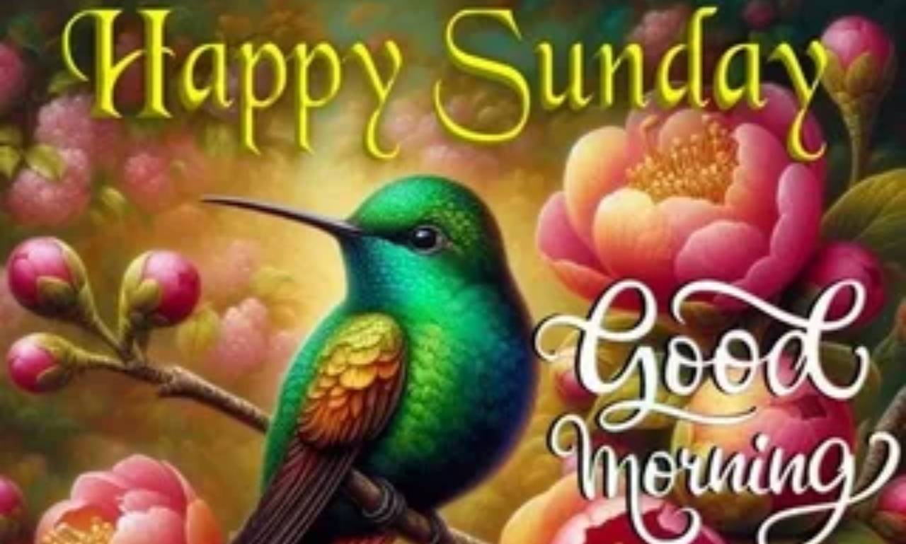 Good Morning Sunday Blessings: Start your day shine with sunrise, prayer, and peaceful inspiration