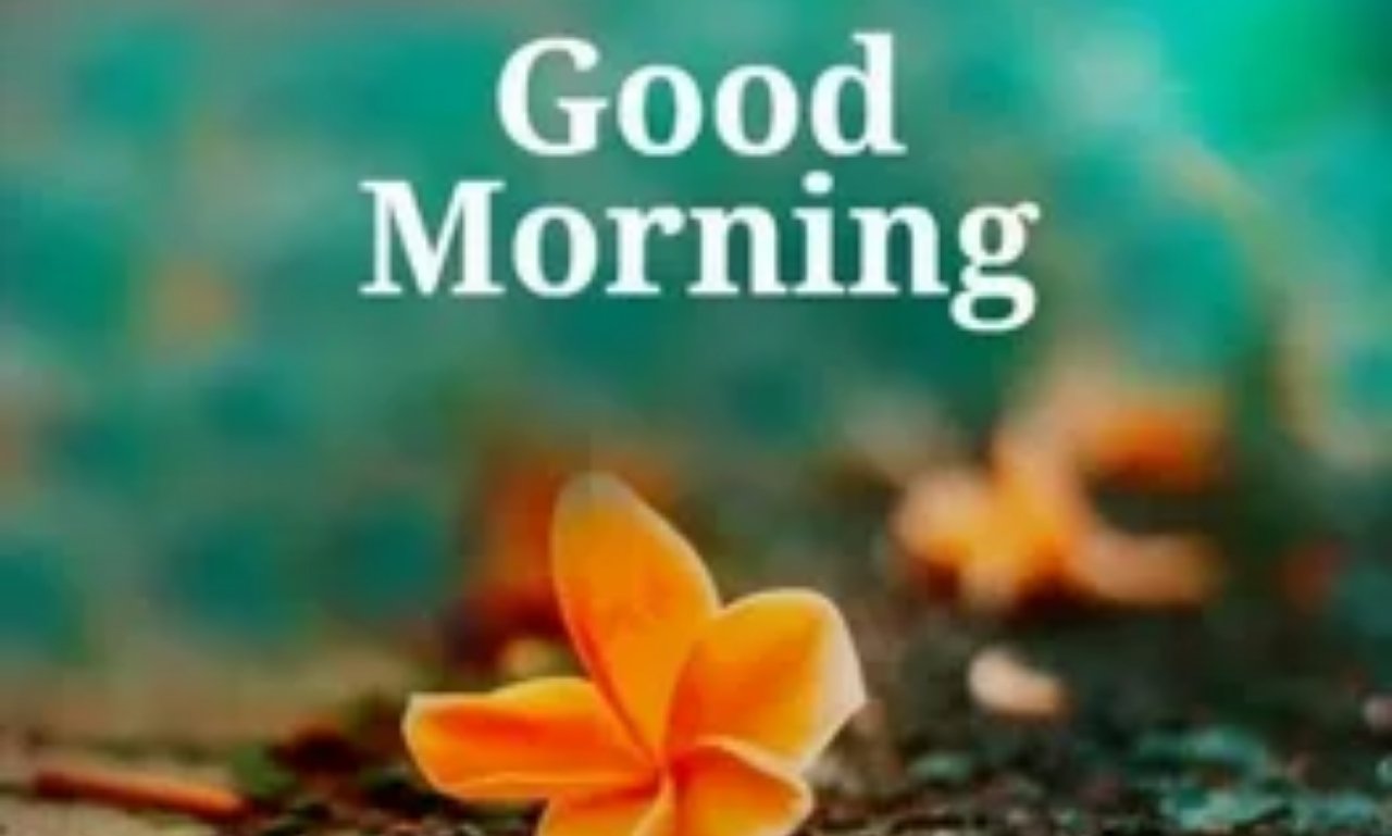 Inspirational good morning life quote on a sunrise background to motivate positivity, mindfulness, and a productive start to the day