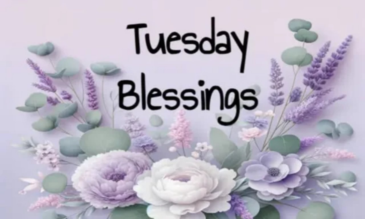 Tuesday Blessings for a Wonderful Day – Cute Images with uplifting quotes, prayer message, and peaceful morning inspiration