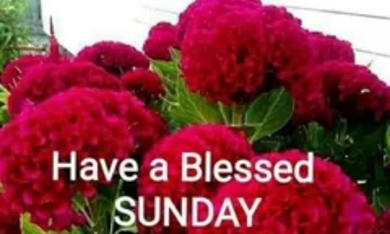 African American Sunday blessings and prayers with hands raised in worship and sunrise background symbolizing hope and faith