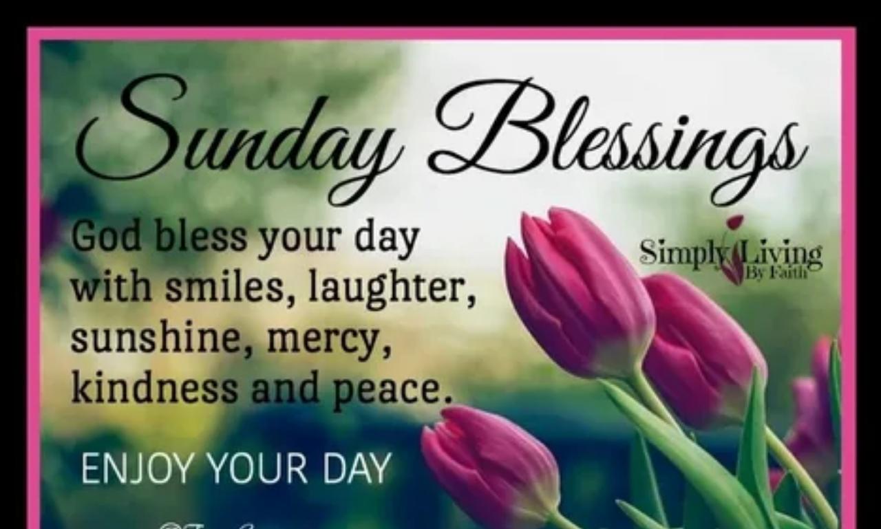 A peaceful Sunday morning scene with sunlight, a Bible, and flowers, symbolizing gratitude, faith, and thankful Sunday blessings