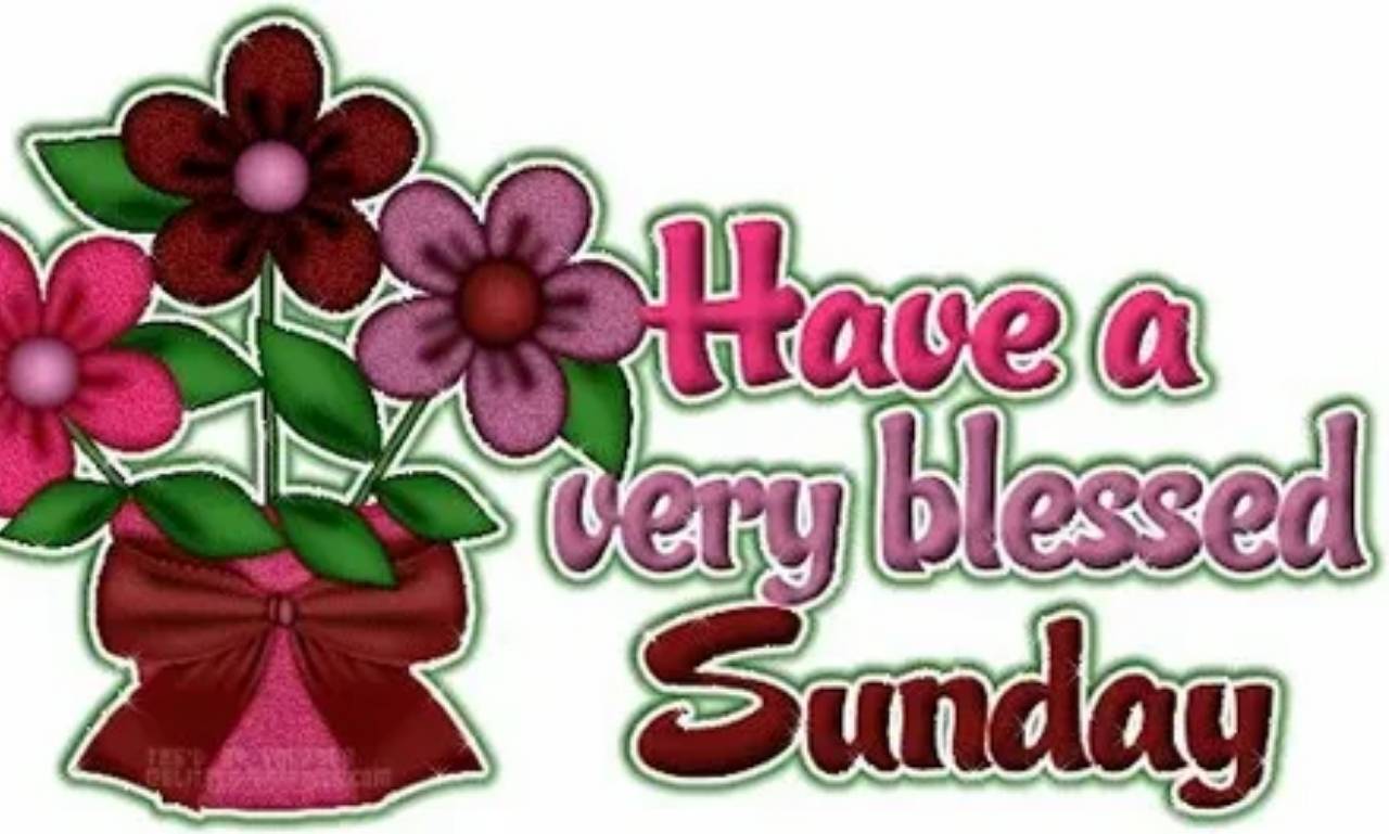 A peaceful Sunday morning scene with sunlight, a Bible, and flowers, symbolizing gratitude, faith, and thankful Sunday blessings