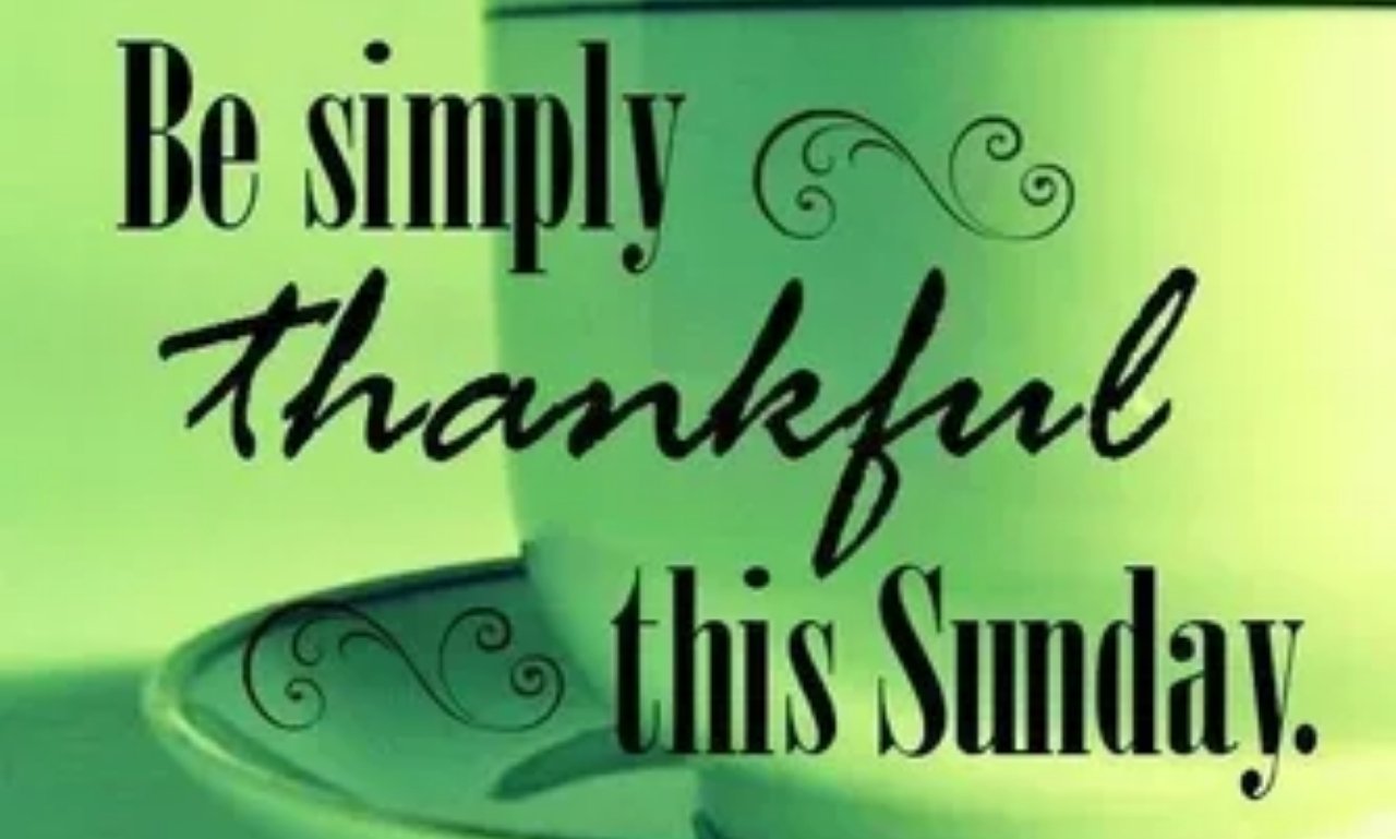 A peaceful Sunday morning scene with sunlight, a Bible, and flowers, symbolizing gratitude, faith, and thankful Sunday blessings