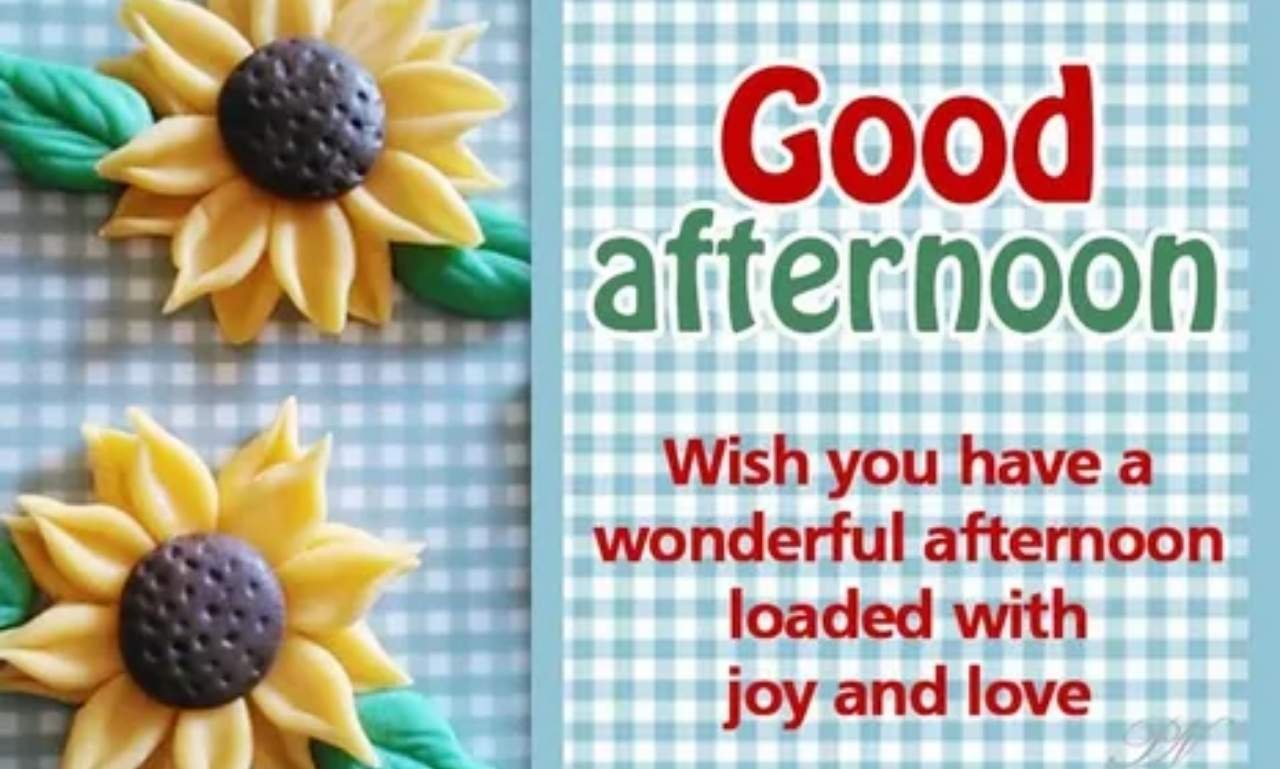 Good afternoon blessings with peaceful flowers, sunshine, heartfelt wishes, uplifting quotes, and inspirational prayers