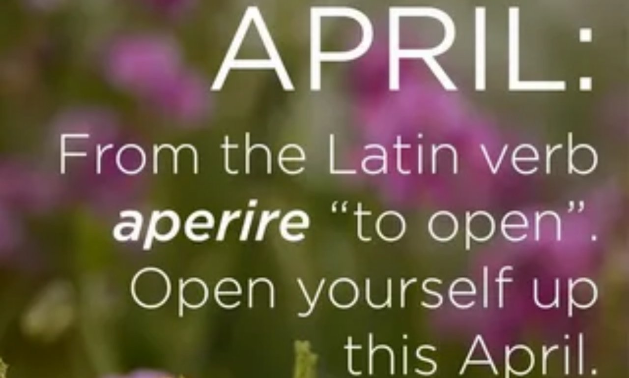 Beautiful spring landscape with blooming flowers, sunshine, and uplifting April quotes symbolizing hope, happiness, faith, renewal, and new beginnings.