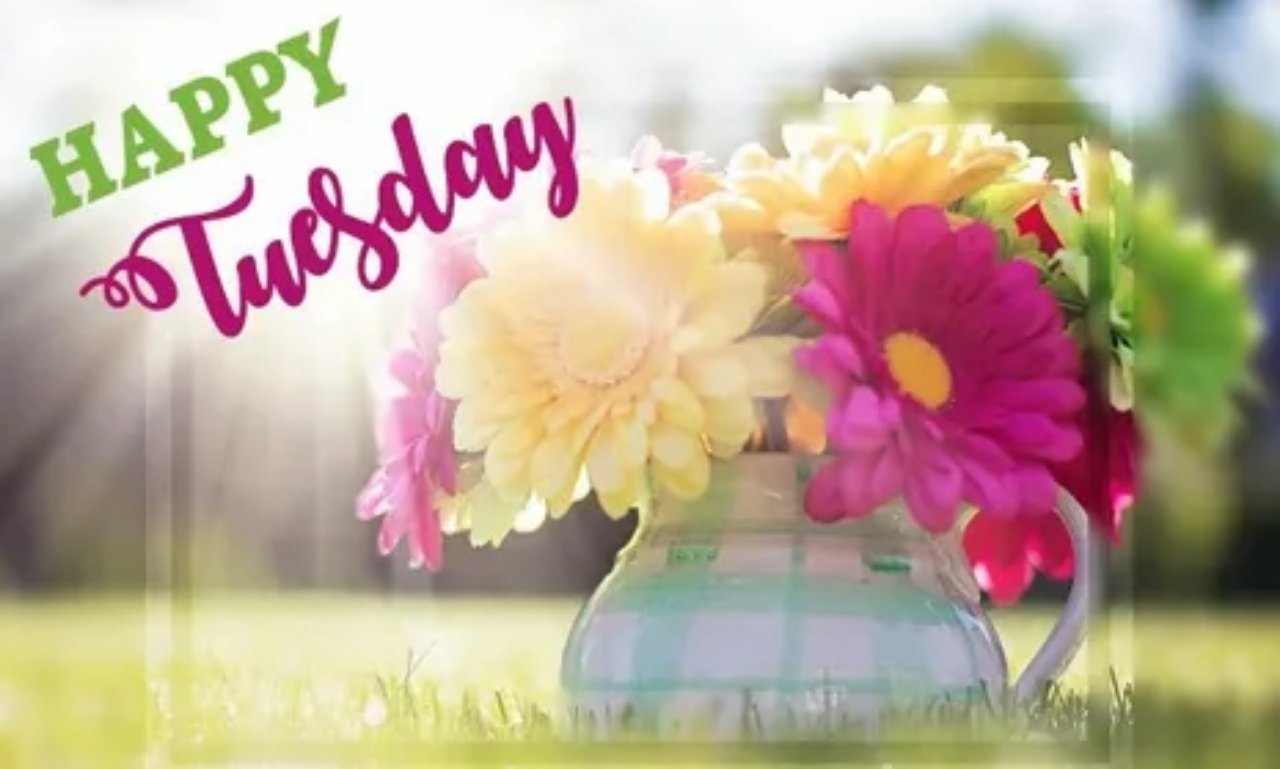 Serene sunrise with uplifting Tuesday blessing quote about hope, courage, and spiritual encouragement