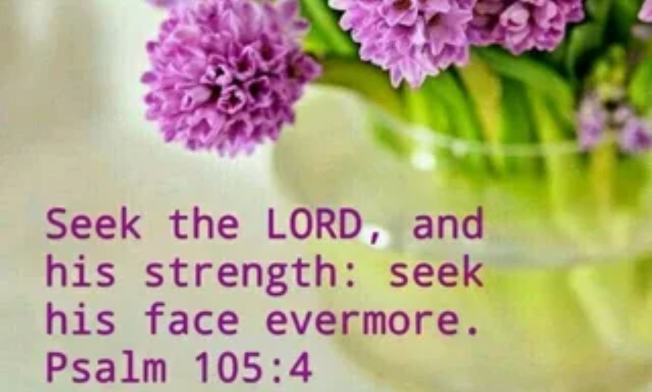 Palm Sunday prayers with Bible verses featuring palm branches, a cross, and a worshipful Christian scene symbolizing faith, hope, peace, and Holy Week reflection.