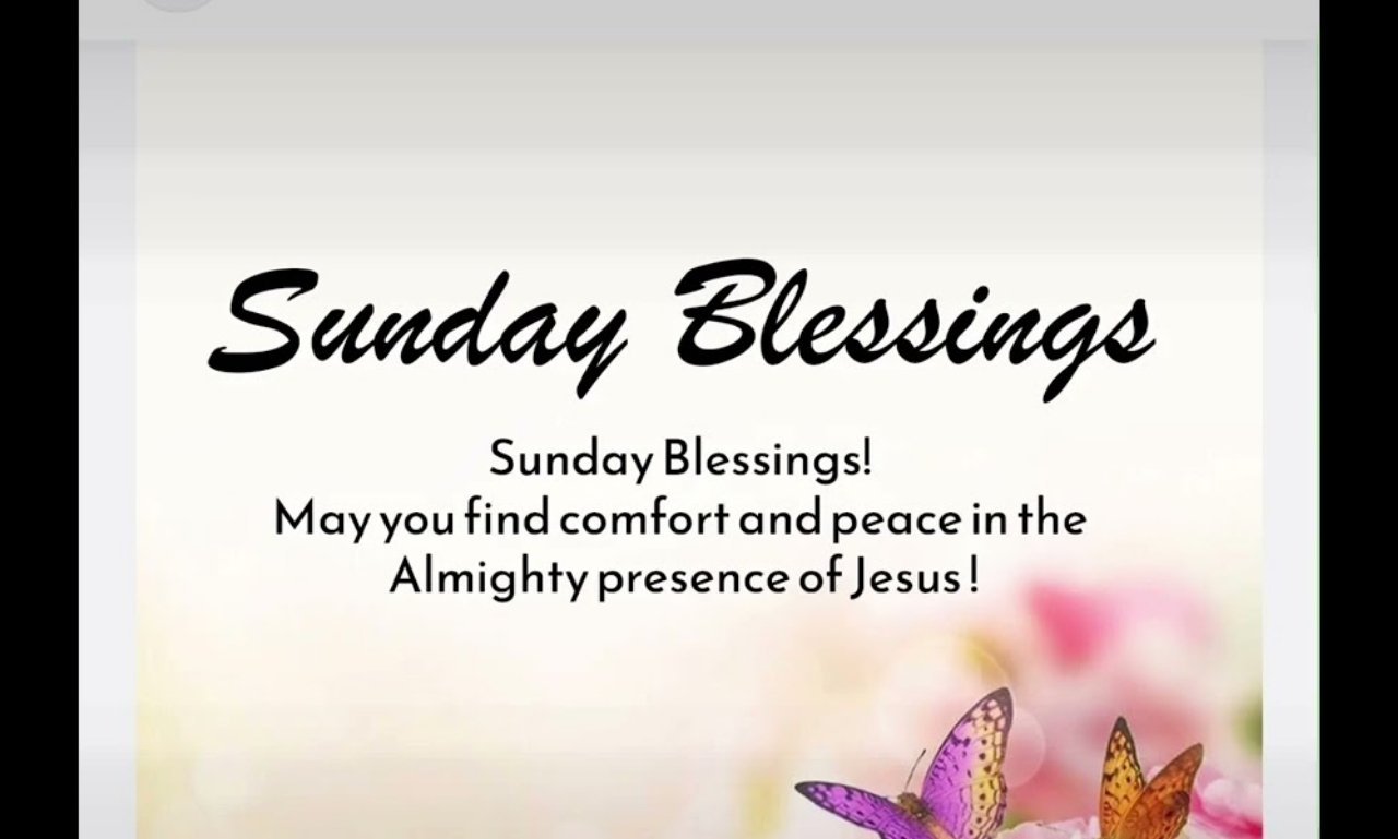 Beautiful Sunday morning sunrise with an open Bible, flowers, and peaceful scenery symbolizing Happy Sunday blessings, prayers, faith, hope, joy, gratitude, and spiritual encouragement.